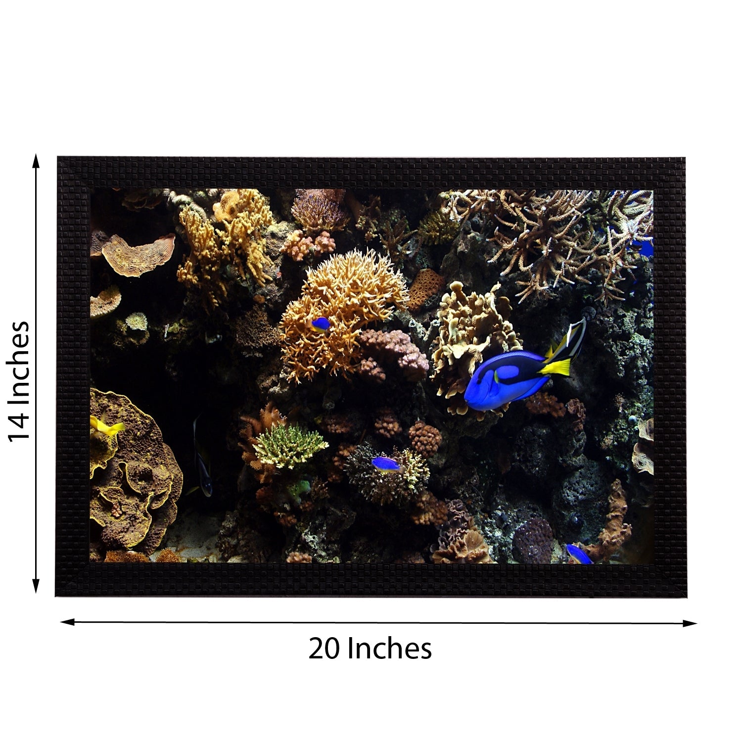 Sea Life Satin Matt Texture UV Art Painting Kafalo