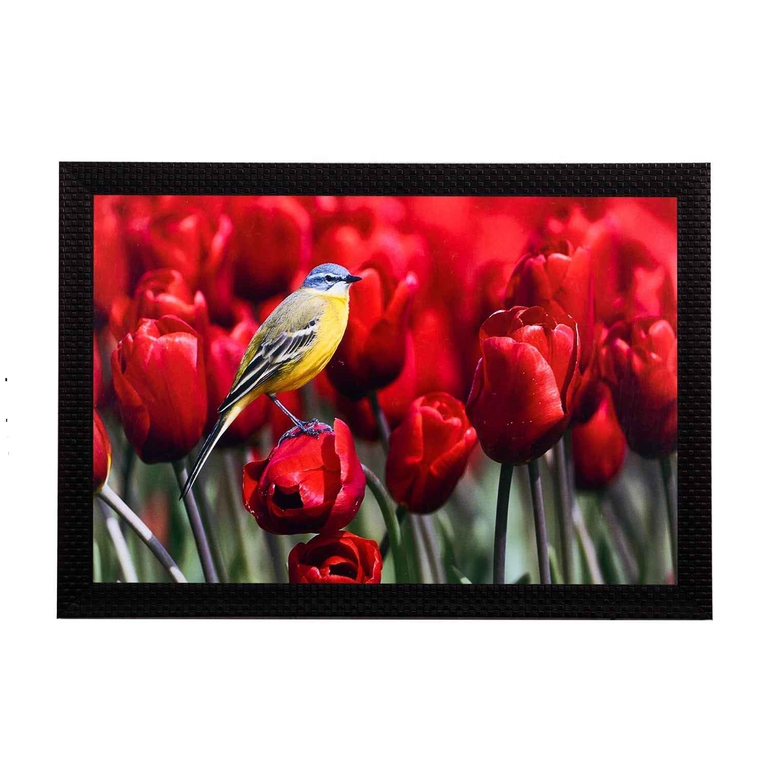 Bird Resting On Flower Satin Matt Texture UV Art Painting Kafalo
