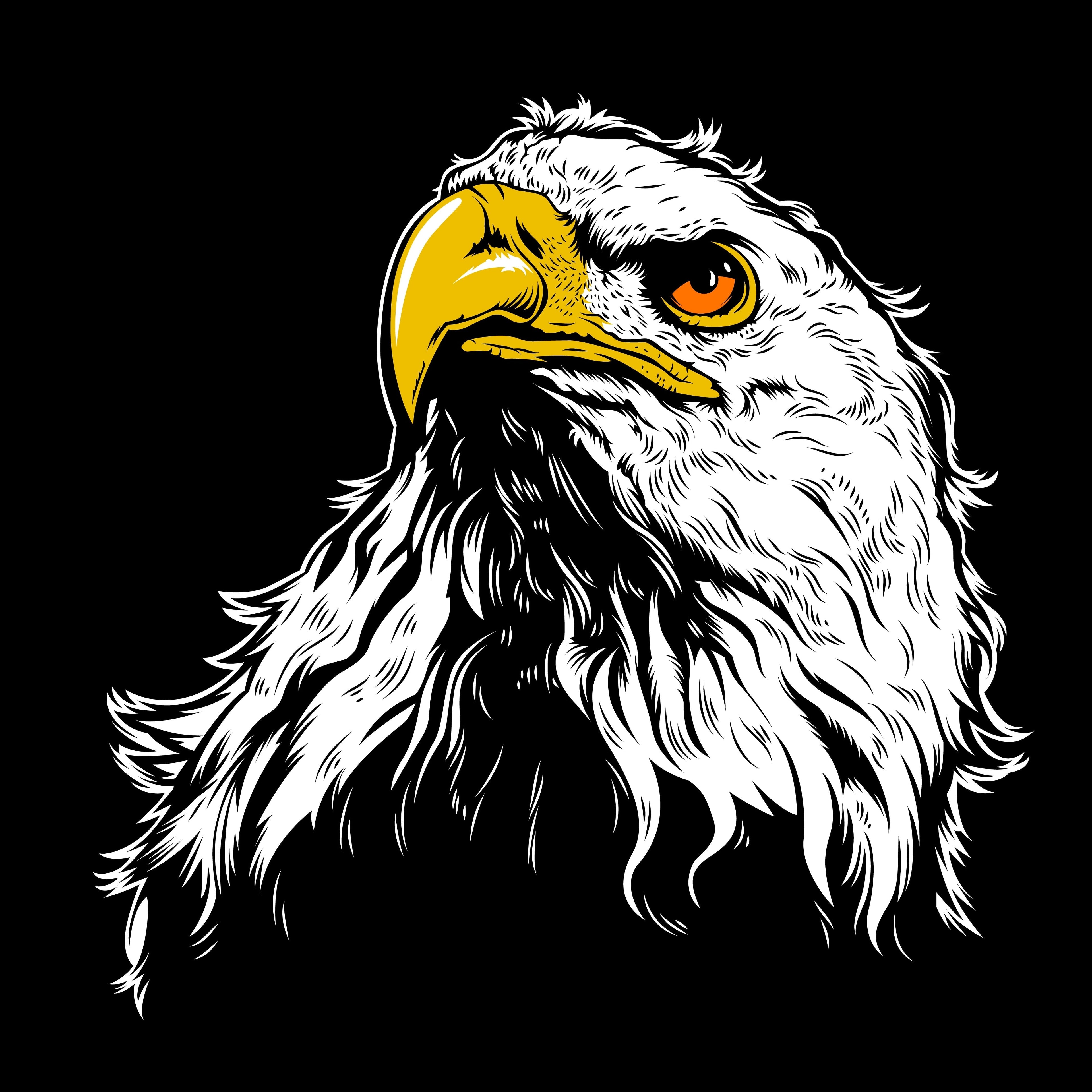 Abstract Eagle Satin Matt Texture UV Art Painting Kafalo