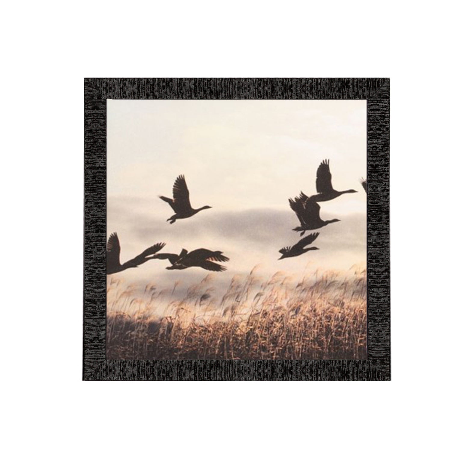 Bird Scenic View Satin Matt Texture UV Art Painting Kafalo