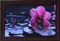 Beautiful Purple Flower Satin Matt Texture UV Art Painting Kafalo