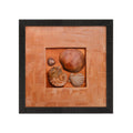 Set of Shells Satin Matt Texture UV Art Painting Kafalo