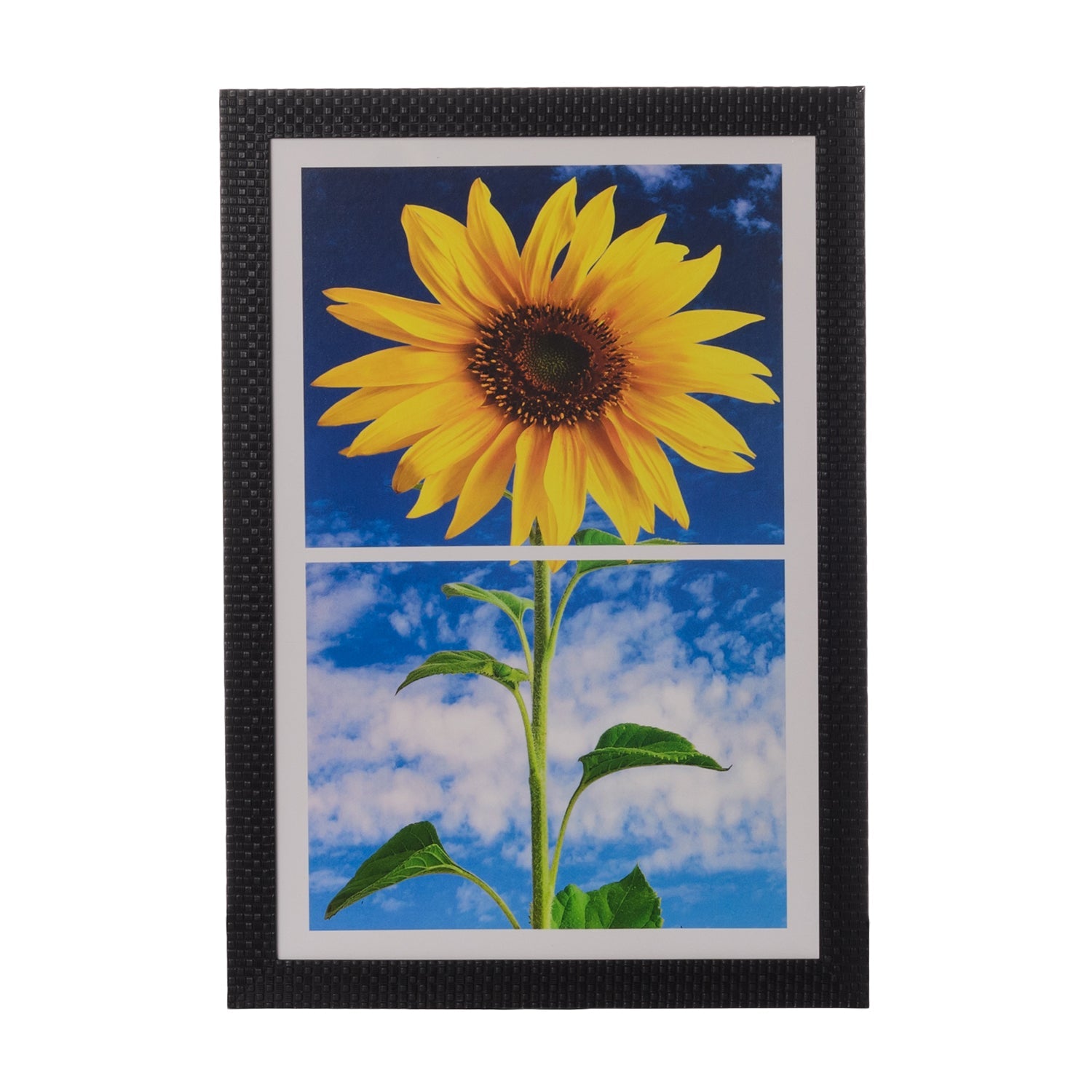Sunflower Satin Matt Texture UV Art Painting Kafalo