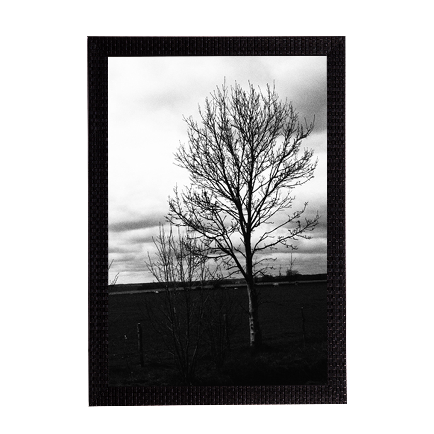 Black and White Tree Satin Matt Texture UV Art Painting