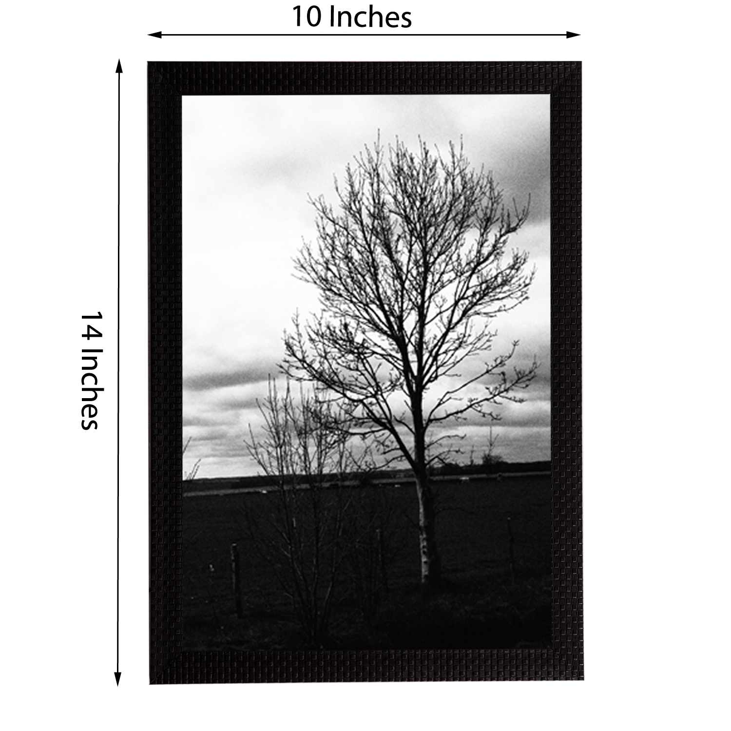 Black and White Tree Satin Matt Texture UV Art Painting