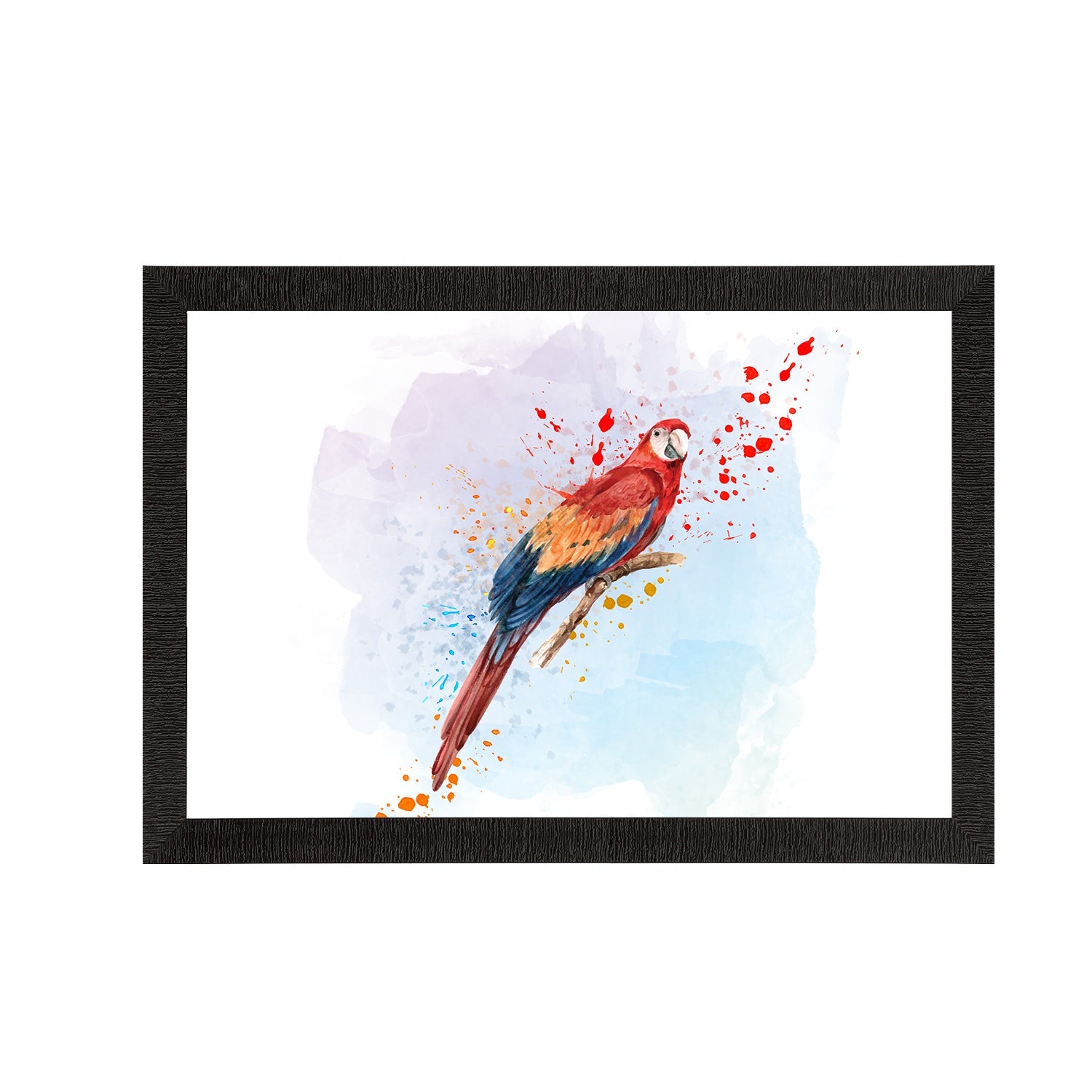 Colorful Parrot Satin Matt Texture UV Art Painting Kafalo