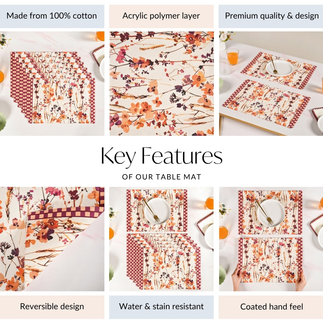 Checkered Border Placemat Set Of 6 Nestasia