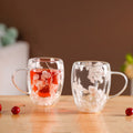 Dried Flowers Inside Double Glass Coffee Mug Set Of 2 350ml Nestasia