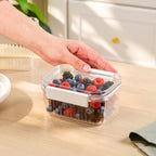 Food Storage Container With Airtight Clip Lock Lid 430ml Nestasia