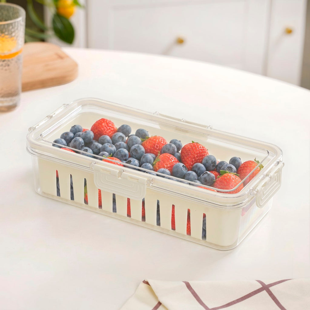 FreshGrid Airtight Fridge Storage Box Nestasia