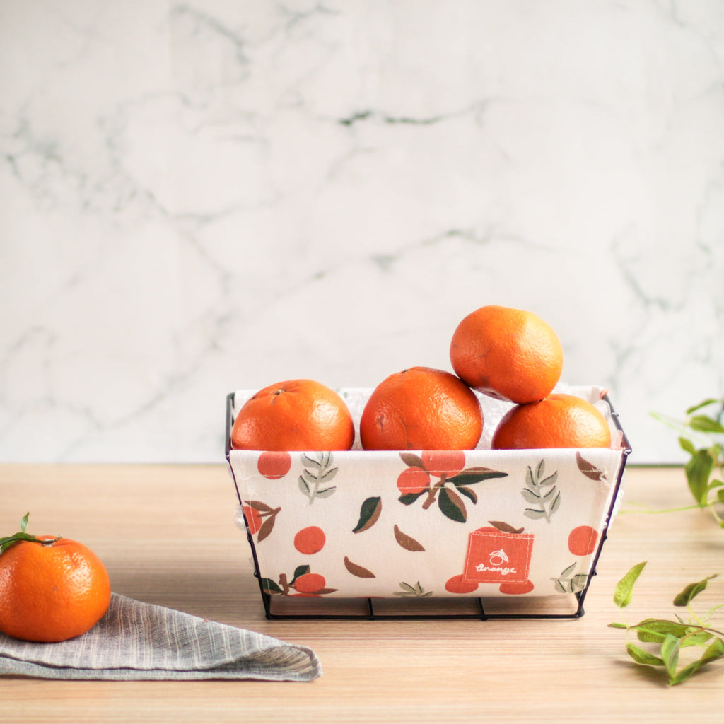 Fruit Storage Basket Nestasia
