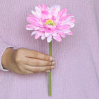 Gerbera Flower Nestasia