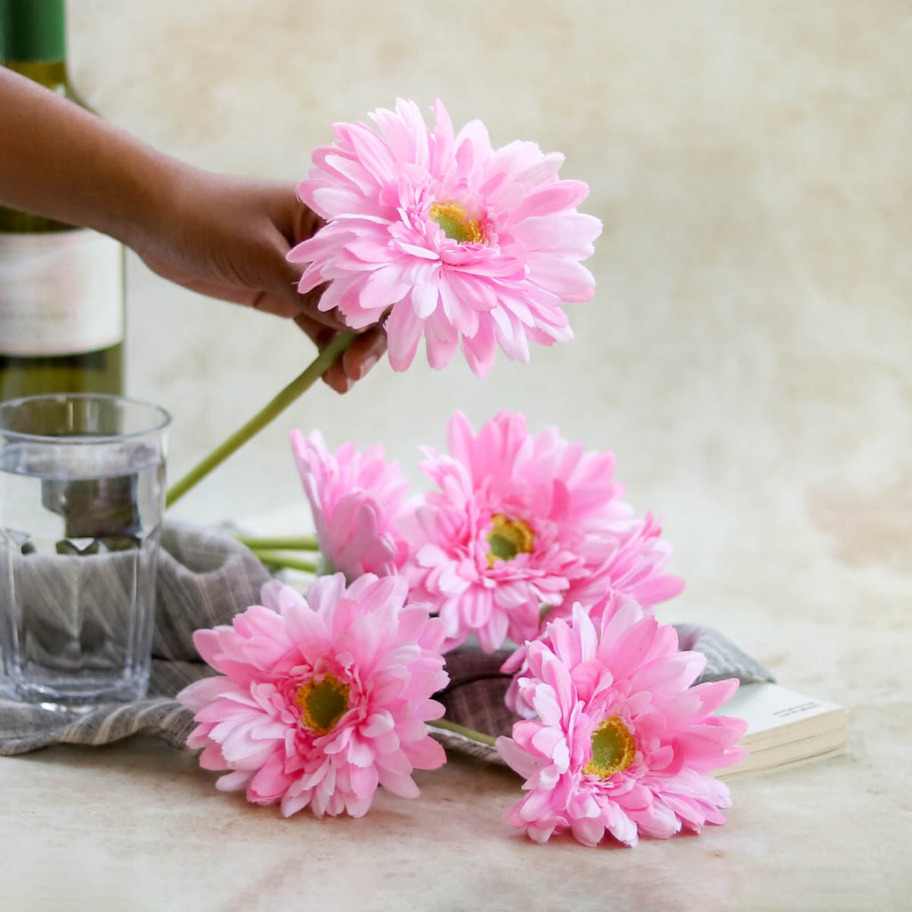 Gerbera Flower Nestasia