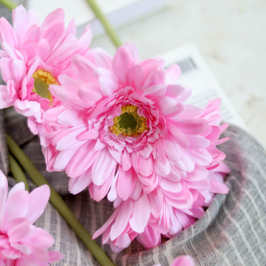 Gerbera Flower Nestasia