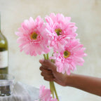 Gerbera Flower Nestasia