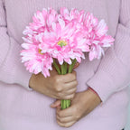Gerbera Flower Nestasia