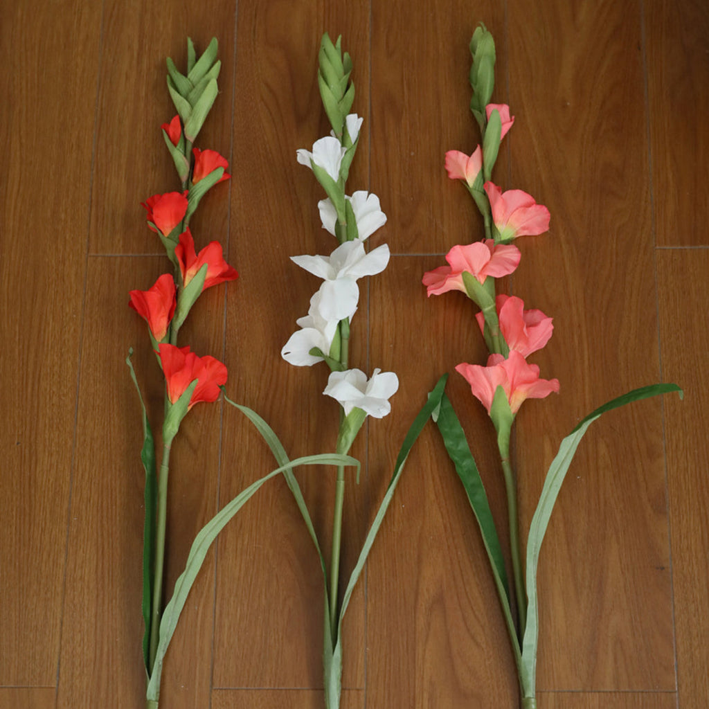 Gladiolus flower Nestasia