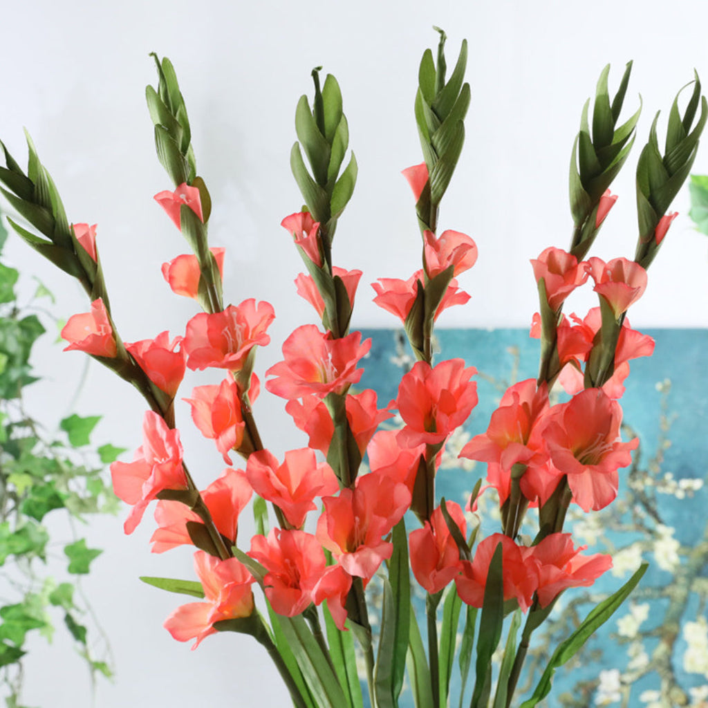 Gladiolus flower Nestasia