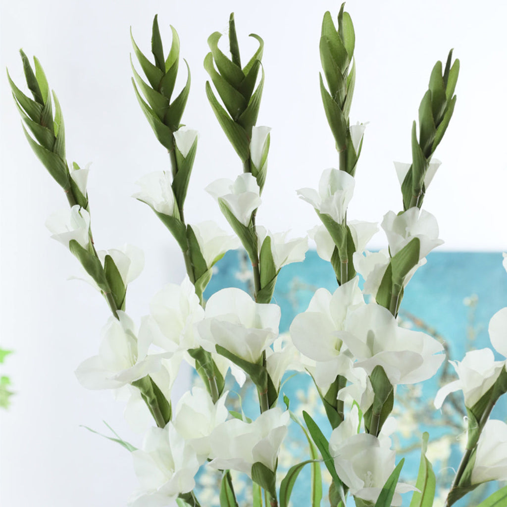 Gladiolus flower Nestasia