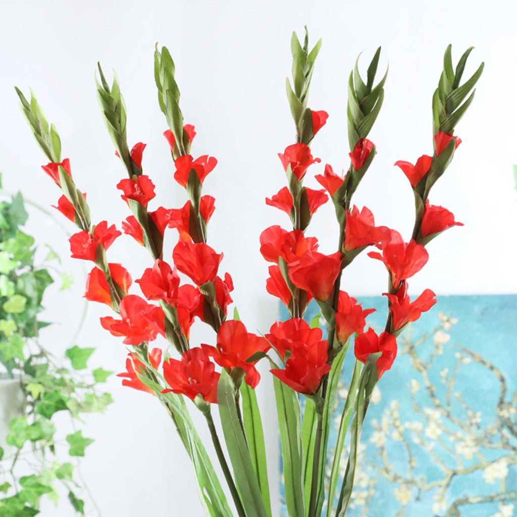 Gladiolus flower Nestasia