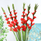 Gladiolus flower Nestasia