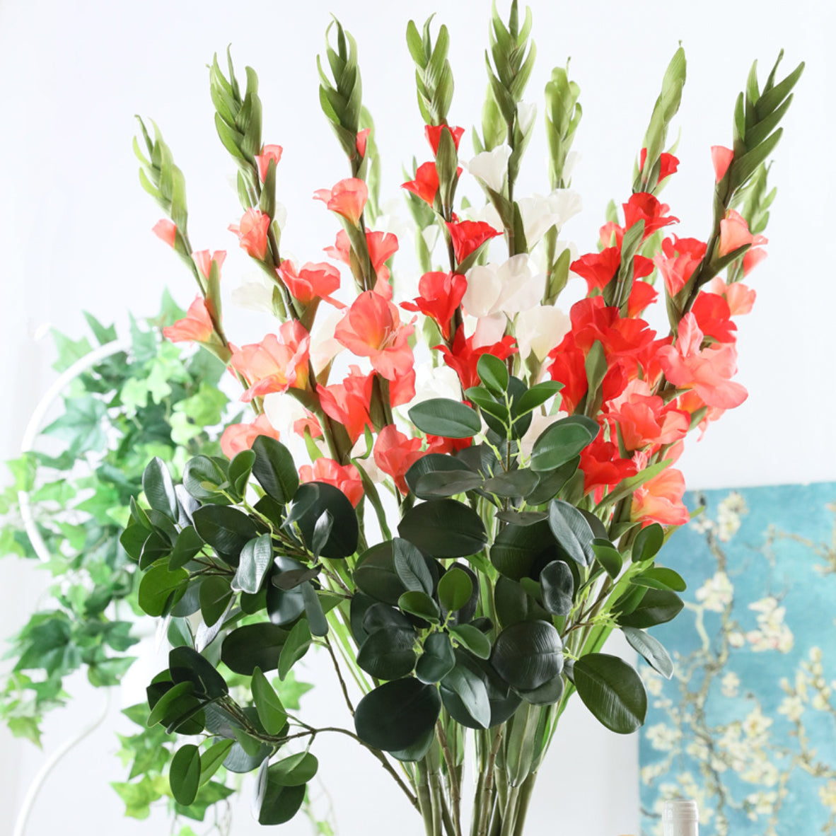 Gladiolus flower Nestasia
