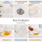 Vintage Glass Tea Pot 800ml Nestasia
