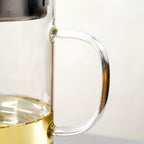 Glass Oil Pot With Strainer 1500ml Nestasia