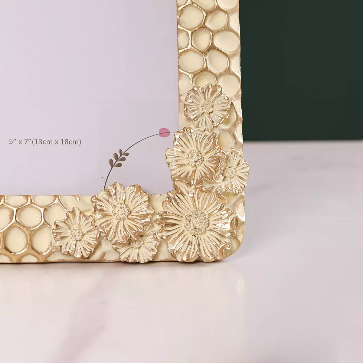 Honeycomb Gold Frame Large 9"x7" Nestasia