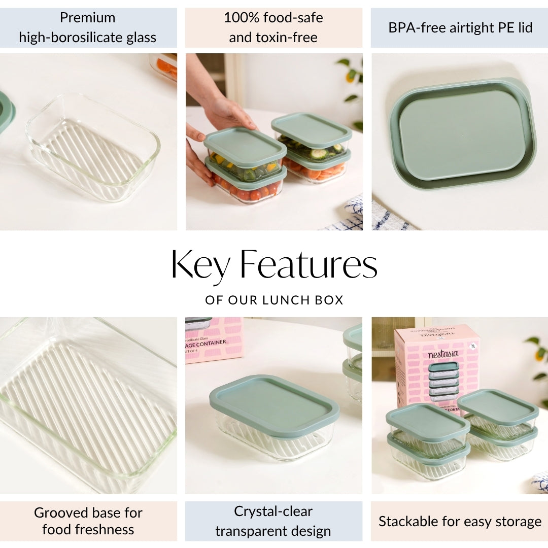 Groovo Food Storage Container Green Set Of 4 520ml Nestasia