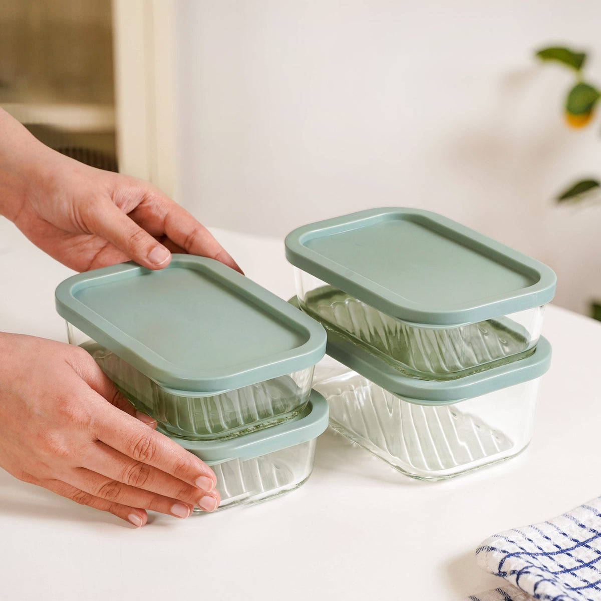 Groovo Storage Container Set Of 4 Sage Green M 520ml L 750ml Nestasia