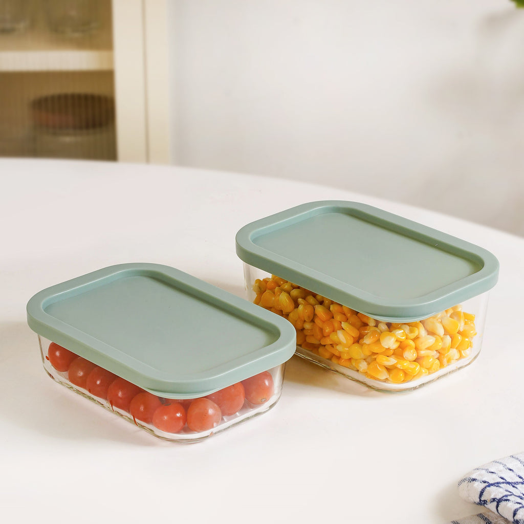 Groovo Storage Container Set Of 4 Sage Green M 520ml L 750ml Nestasia