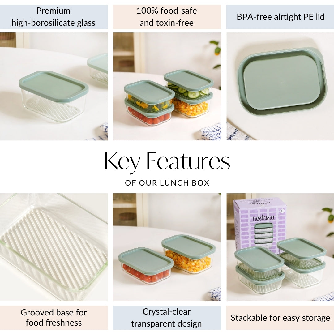 Groovo Storage Container Set Of 4 Sage Green M 520ml L 750ml Nestasia