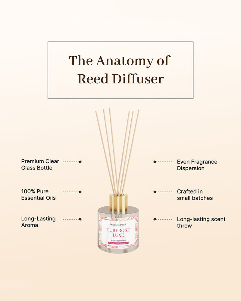 Reed Diffuser Set with Fragrance Oil for Home & Office Aroma