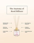 Reed Diffuser Set with Fragrance Oil for Home & Office Aroma