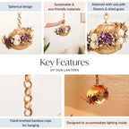 Organic Dried Flowers Lantern Lavender Nestasia