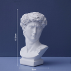 Head Planter Nestasia