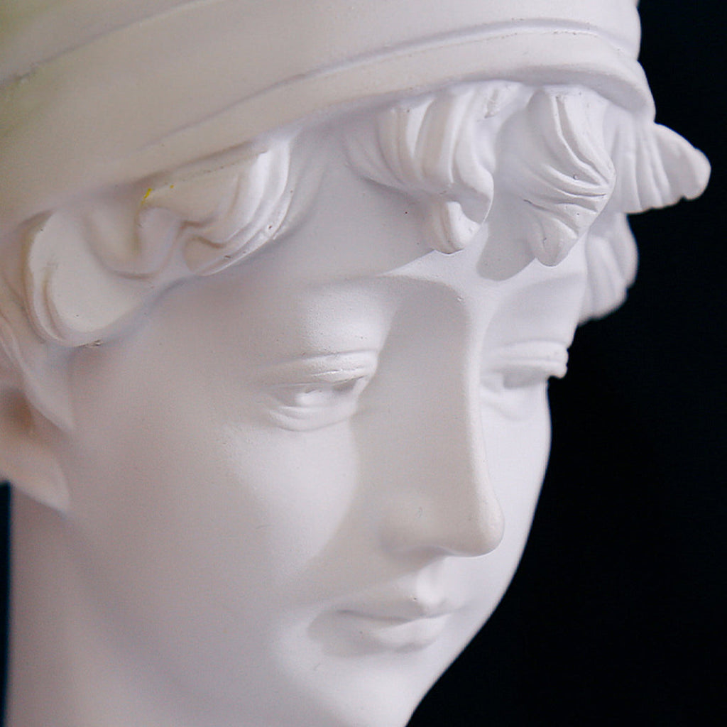 Head Planter Nestasia
