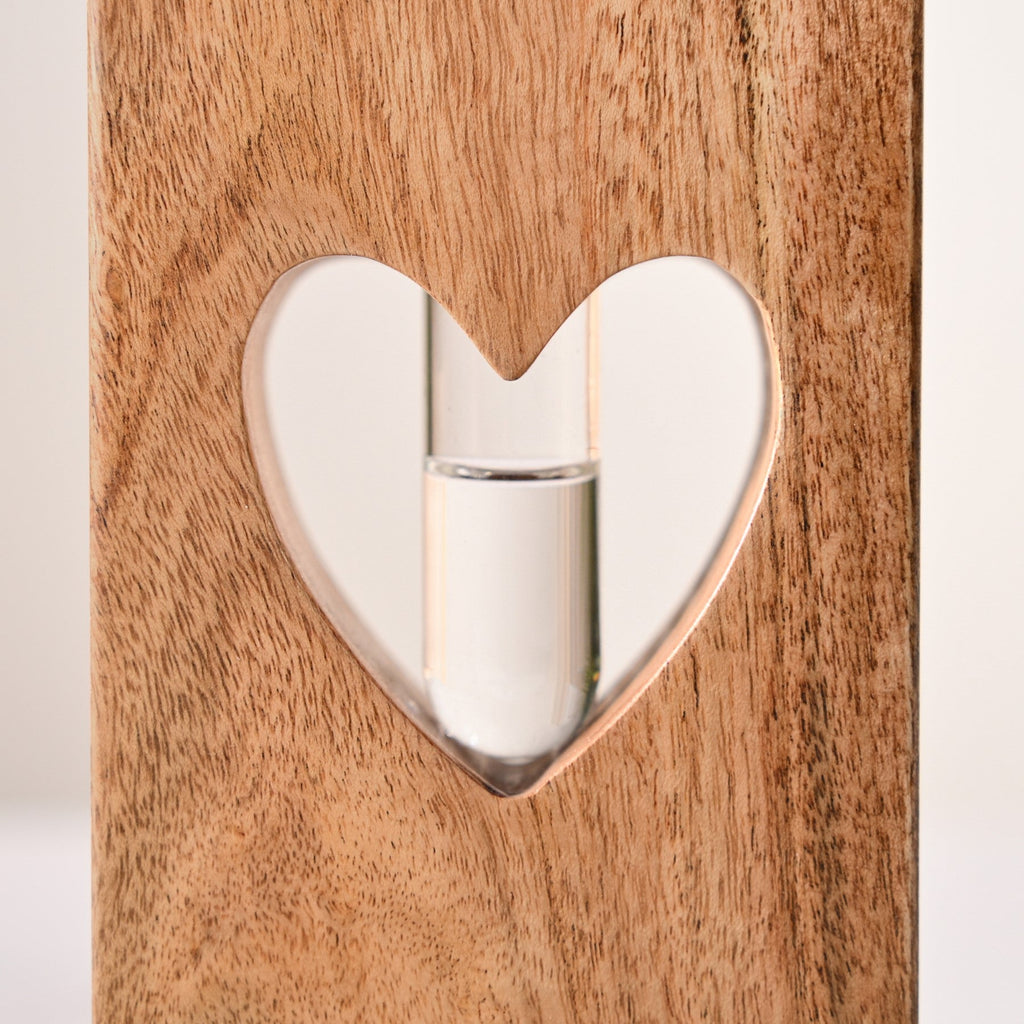 Heart Shaped Planter Pair With Removable Test Tubes Nestasia