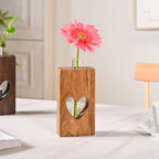 Heart Shaped Planter Pair With Removable Test Tubes Nestasia