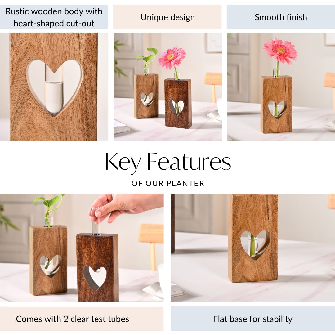 Heart Shaped Planter Pair With Removable Test Tubes Nestasia
