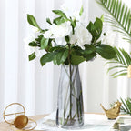 Transparent Glass Vase Nestasia