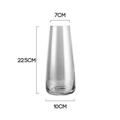 Transparent Glass Vase Nestasia