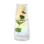 Transparent Glass Vase Nestasia