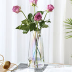 Transparent Glass Vase Nestasia