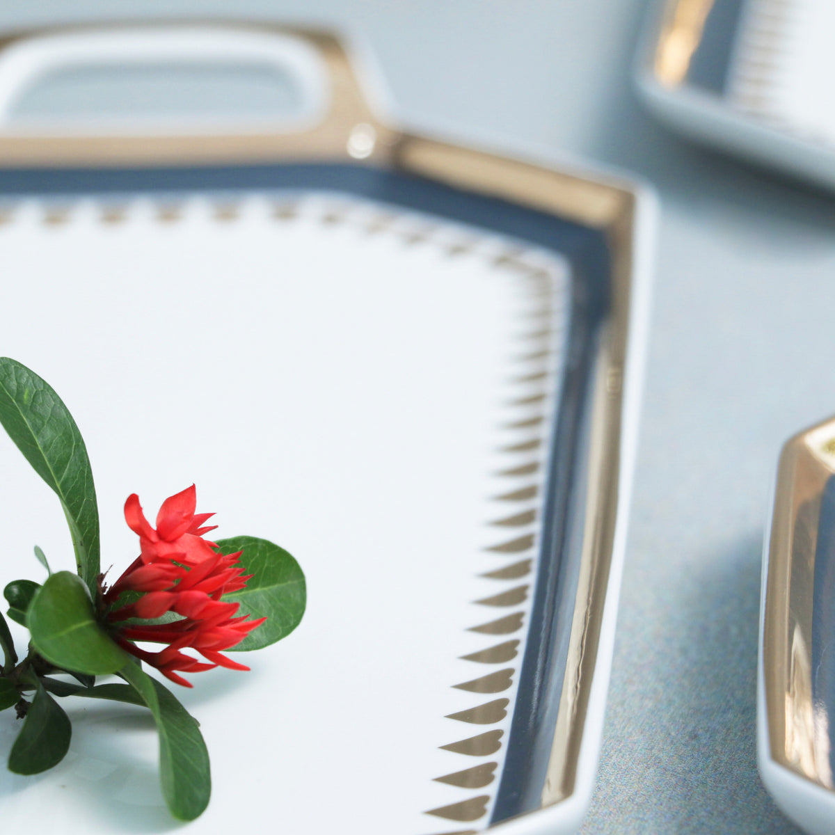 Heart Long Plate with Handle Nestasia