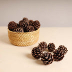 Natural Pine Cones Small Nestasia