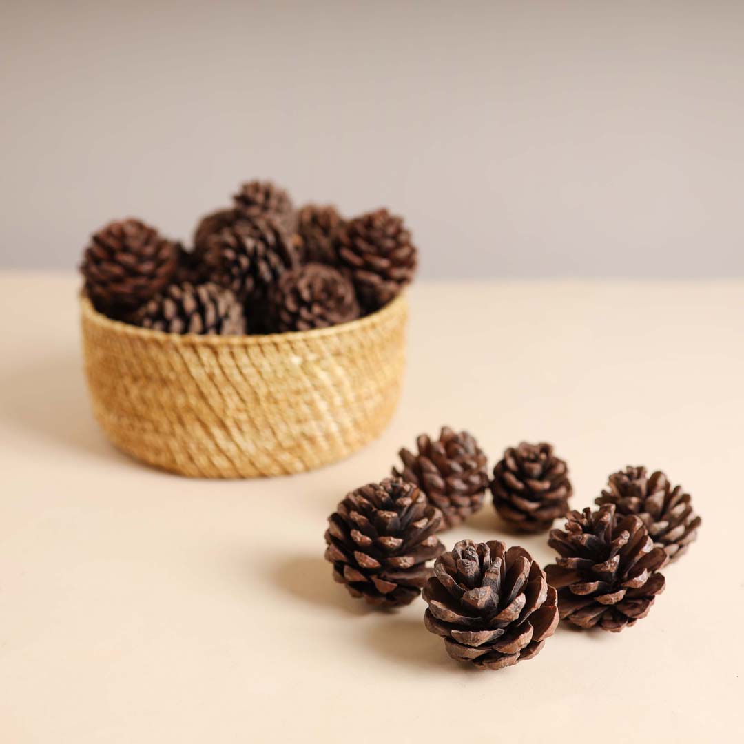Natural Pine Cones Small Nestasia