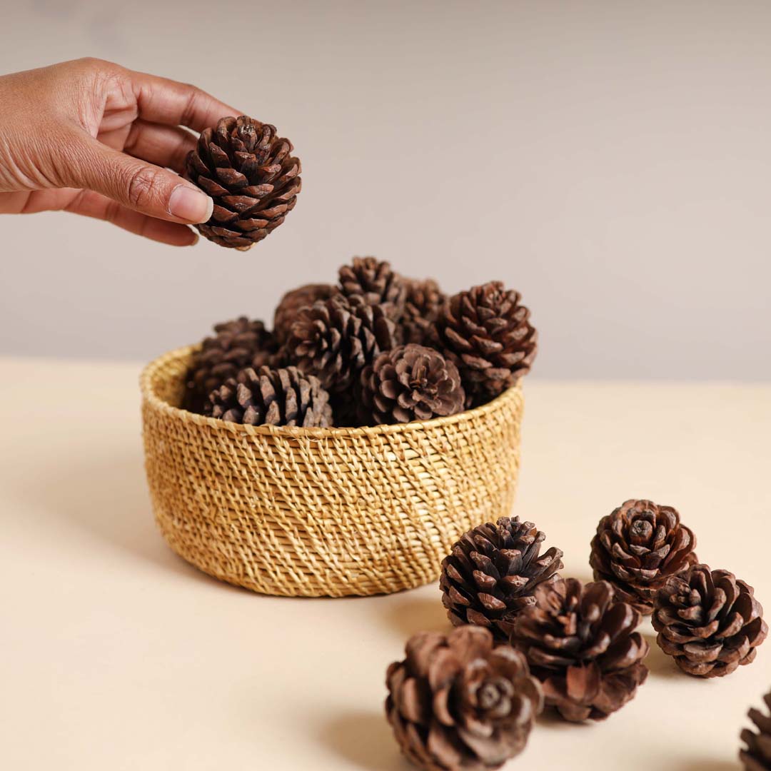 Natural Pine Cones Small Nestasia