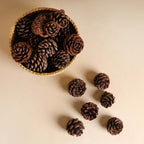 Natural Pine Cones Small Nestasia